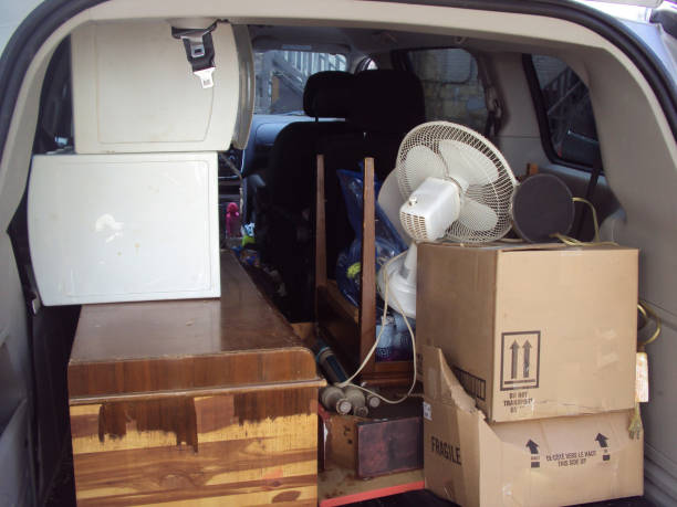 Best Shed Removal  in Captain Cook, HI